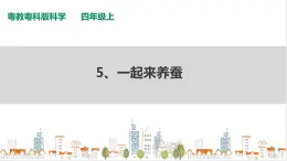 粵教粵科版科學(xué)四上1.5《一起來養(yǎng)蠶》PPT課件+視頻