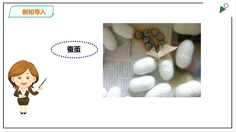 粤教粤科版科学四上1.5《一起来养蚕》PPT课件第3页