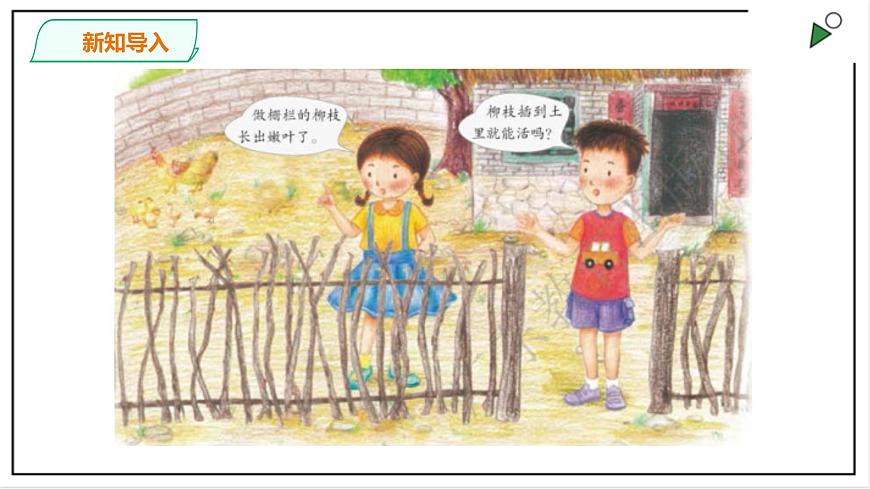 粵教粵科版科學(xué)四上1.4《專題探究：可以不用種子繁殖嗎》PPT課件第2頁