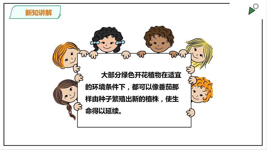粵教粵科版科學(xué)四上1.4《專題探究：可以不用種子繁殖嗎》PPT課件第3頁