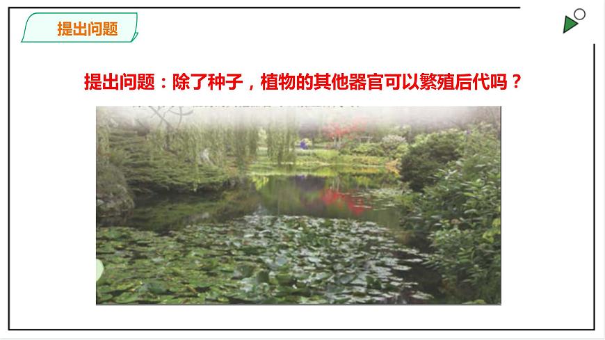 粵教粵科版科學(xué)四上1.4《專題探究：可以不用種子繁殖嗎》PPT課件第6頁