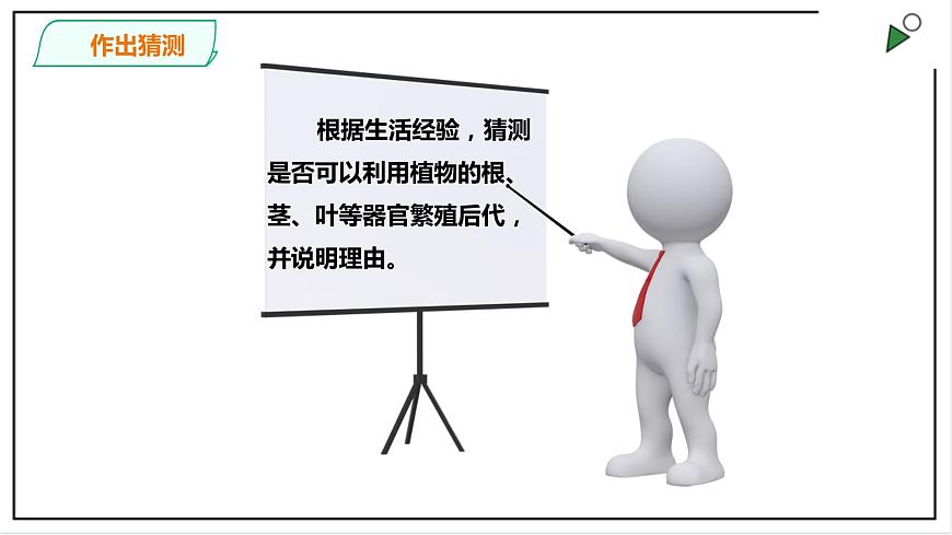 粵教粵科版科學(xué)四上1.4《專題探究：可以不用種子繁殖嗎》PPT課件第7頁