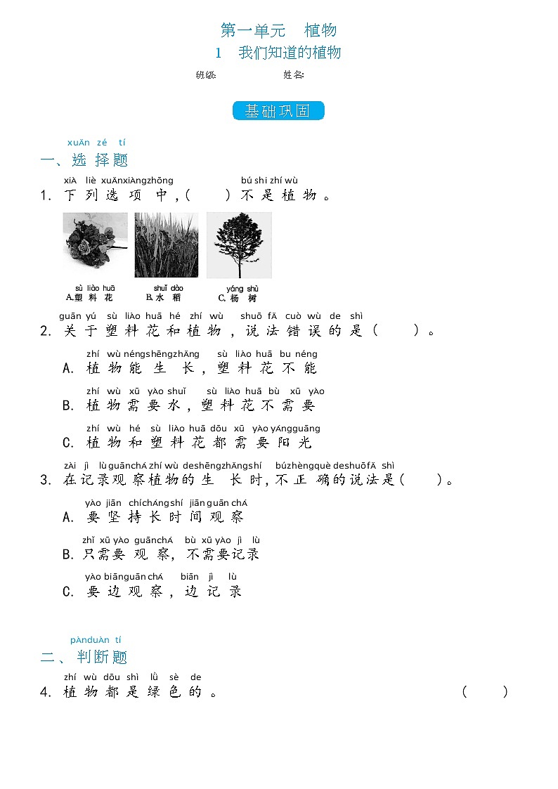 一年级上册1.1我们知道的植物双减分层同步练习(含答案)教科版(2017)01