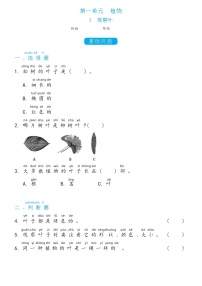 小学科学教科版 (2017)一年级上册3.观察叶当堂达标检测题