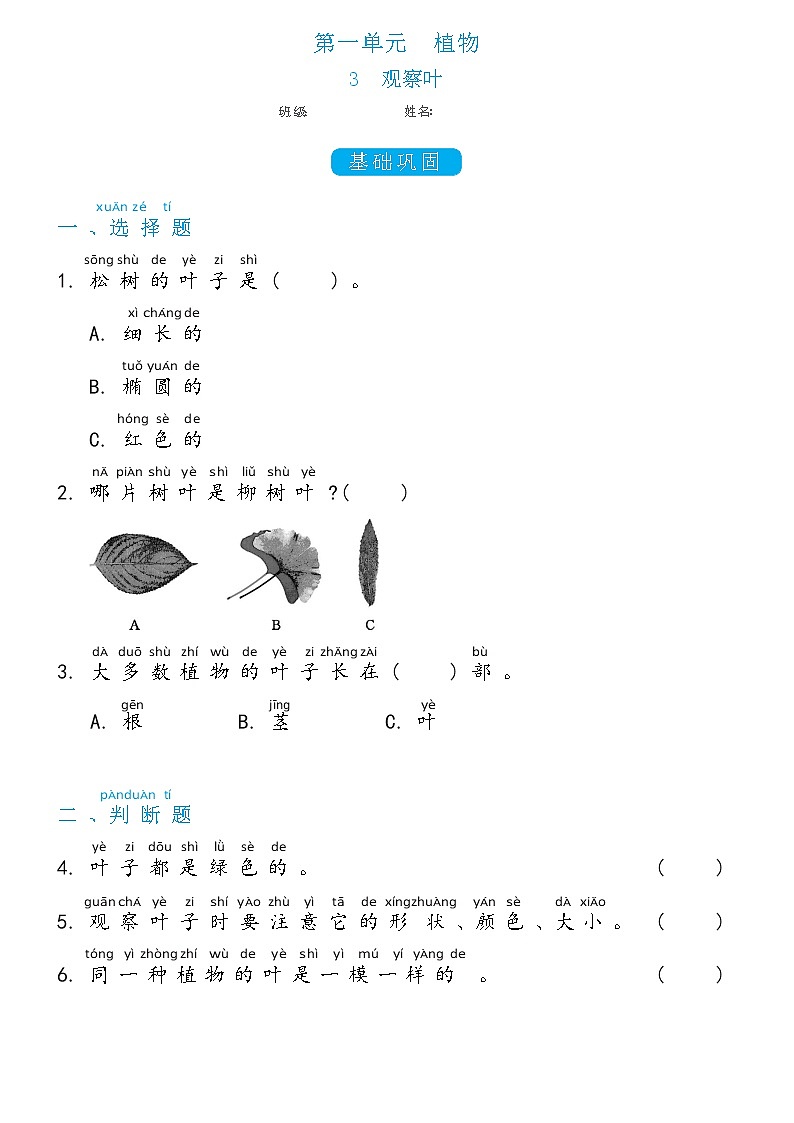 一年级上册1.3观察叶双减分层同步练习(含答案)教科版(2017)第1页