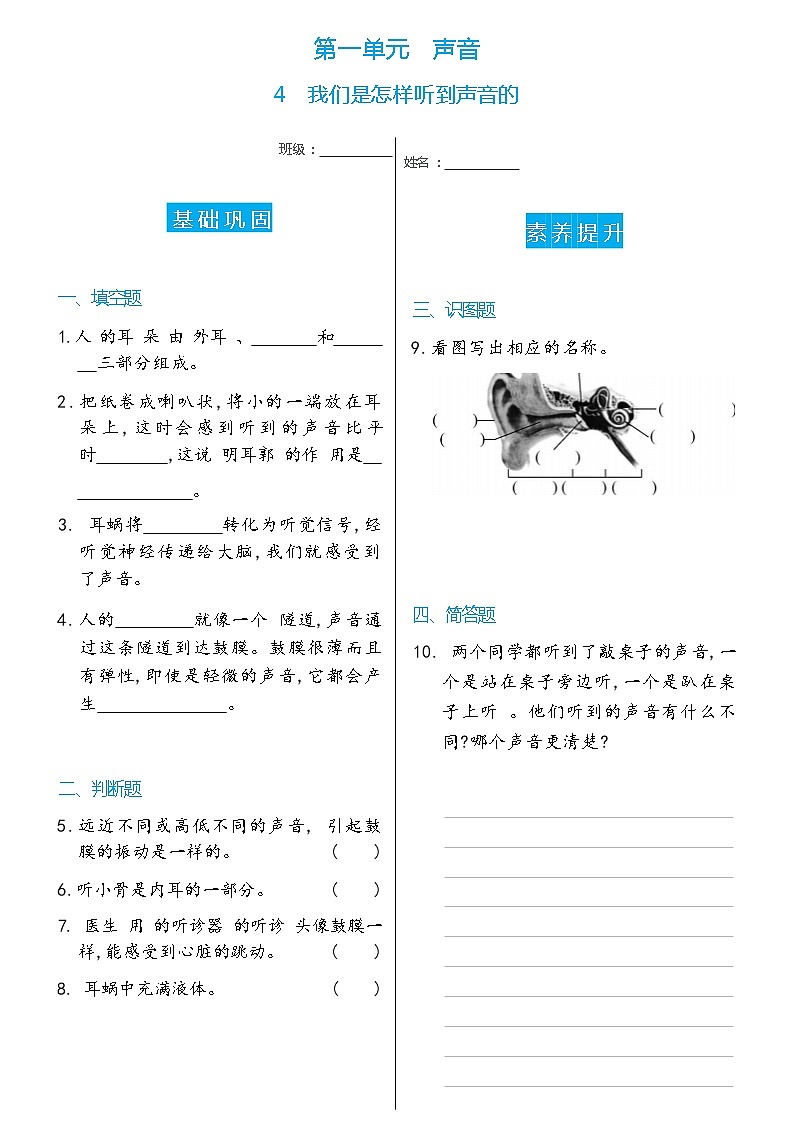 科学 四年级上册4 我们是怎样听到声音的双减分层同步练习(含答案) 教科版201701