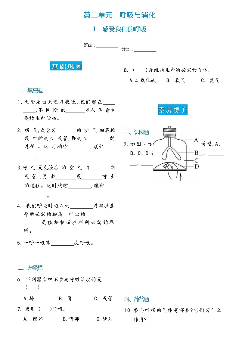 科学 四年级上册1 感受我们的呼吸双减分层同步练习(含答案) 教科版2017第1页