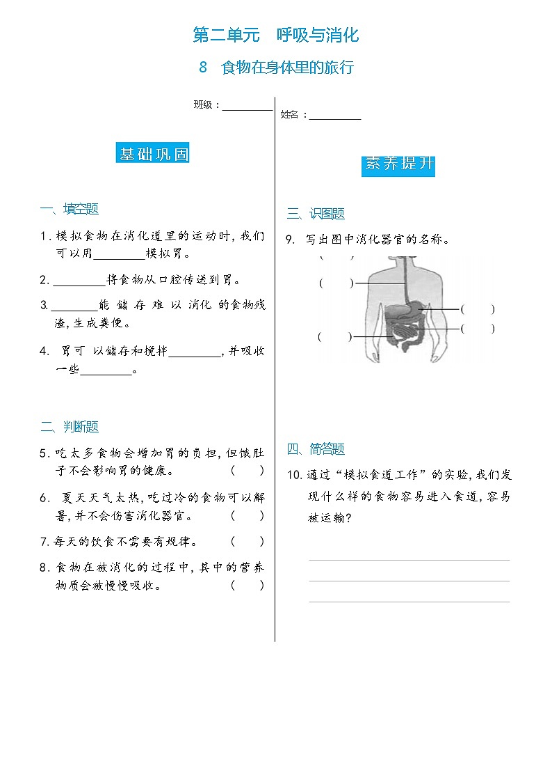 科学 四年级上册8 食物在身体里的旅行双减分层同步练习(含答案) 教科版2017第1页