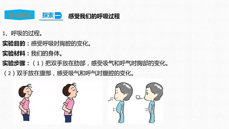 2.1感受我们的呼吸 课件第6页