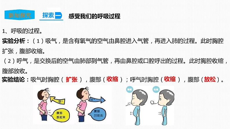 2.1感受我们的呼吸 课件第7页
