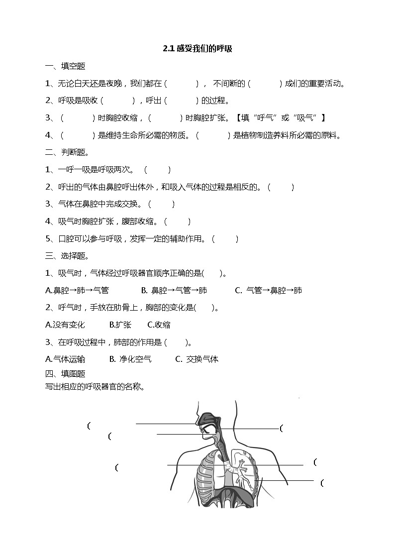 2.1感受我们的呼吸+课时练习(含答案解析)第1页