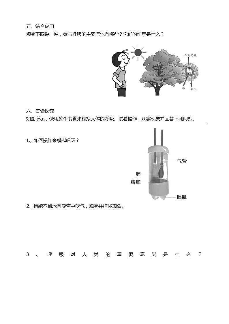 2.1感受我们的呼吸+课时练习(含答案解析)第2页