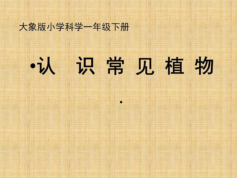 一年级下册科学课件-认识常见植物 大象版(共19张PPT)第1页
