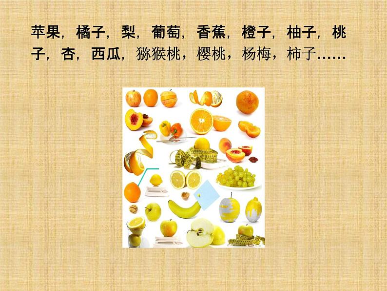 一年级下册科学课件-认识常见植物 大象版(共19张PPT)第8页