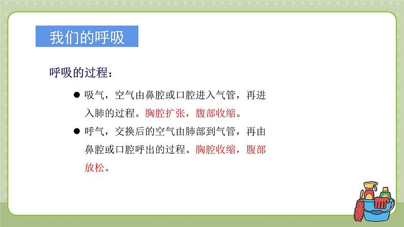 教科版科学四上 第二单元《呼吸与消化》单元复习课件05