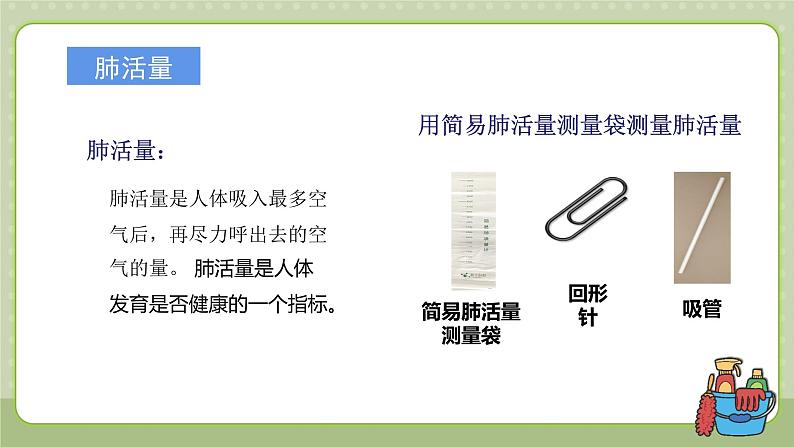 教科版科学四上 第二单元《呼吸与消化》单元复习课件08