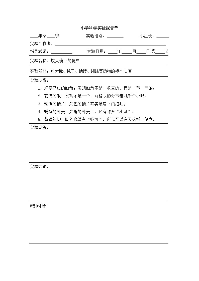 教科版六年级上册科学-实验报告单(全册)03