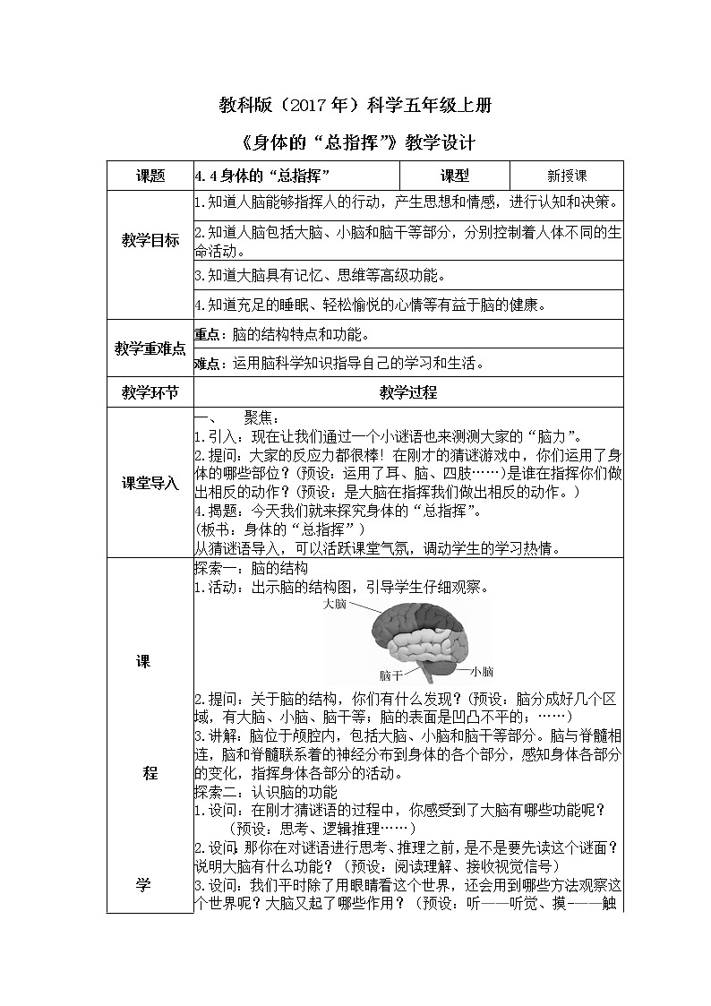 教科版(2017)科学五年级上册4.4《身体的“总指挥”》教案第1页