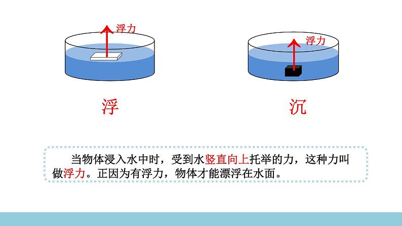 苏教版科学四上 11.浮力 课件PPT+教案+练习(第二课时)01