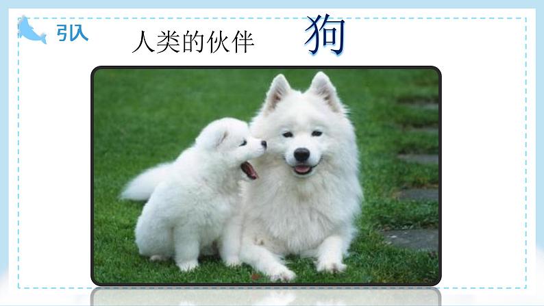 小学科学 教科版 一年级下《我们知道的动物》 课件第3页