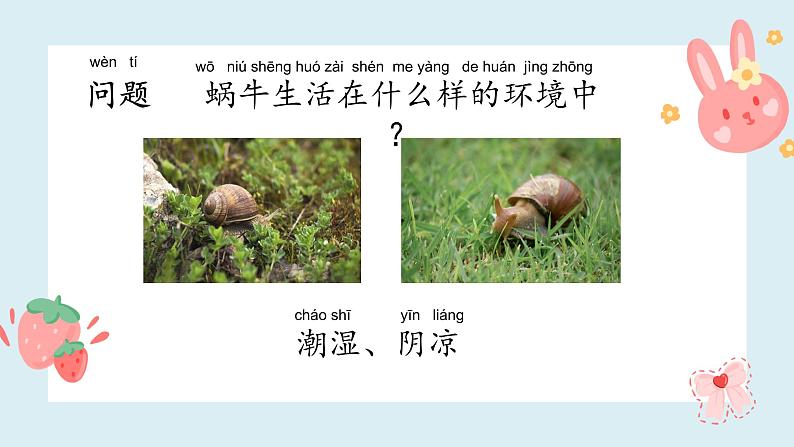 小学科学 一年级 观察一种动物 课件第3页