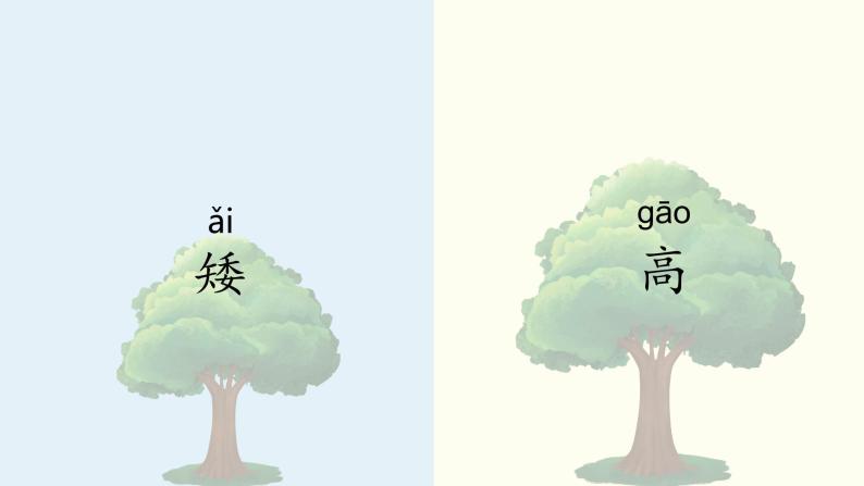 小学科学 一年级《在观察中比较》 课件01