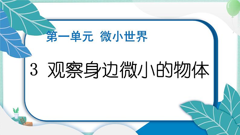 六上科学 3 观察身边微小的物体 PPT讲解 (含答案+动画)第1页
