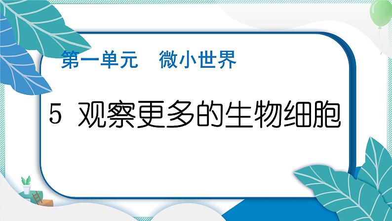 六上科学 5 观察更多的生物细胞 PPT讲解 (含答案+动画)01