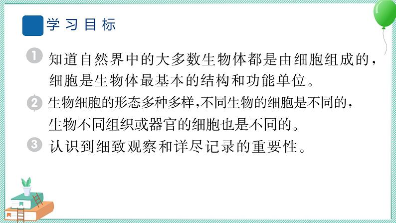 六上科学 5 观察更多的生物细胞 PPT讲解 (含答案+动画)02
