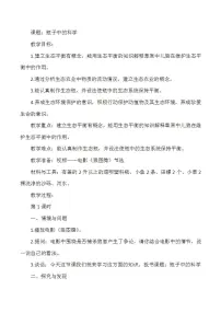 小学科学冀人版 (2017)六年级上册生物与环境15 瓶子中的科学教案