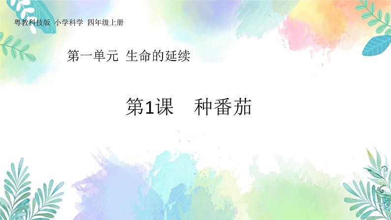 四年级上册科学课件-1.1《种番茄》l 粤教版 共26张01