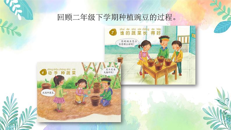 四年级上册科学课件-1.1《种番茄》l 粤教版 共26张03