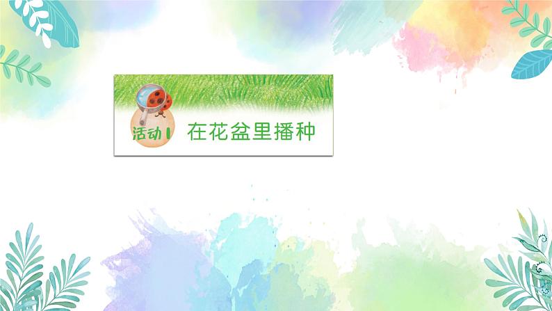 四年级上册科学课件-1.1《种番茄》l 粤教版 共26张05