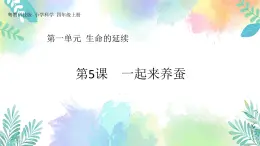 四年级上册科学课件-1.5《一起来养蚕》｜粤教版(共45张PPT)