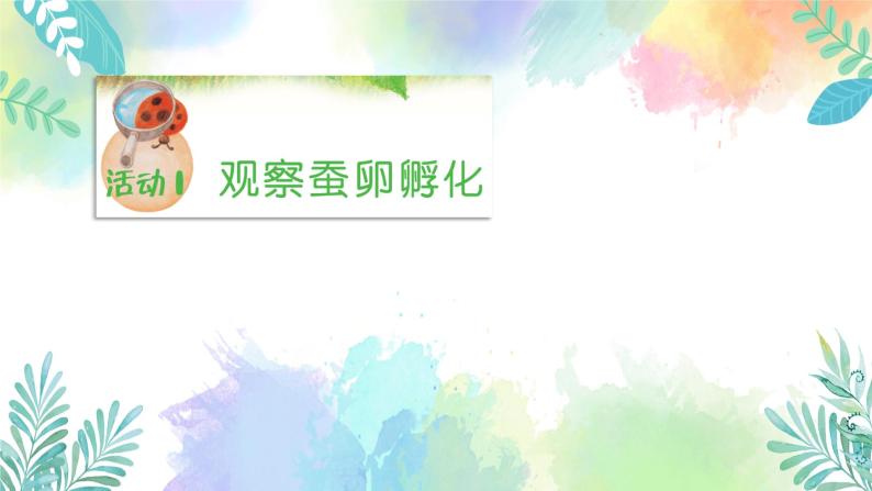 四年级上册科学课件-1.5《一起来养蚕》｜粤教版(共45张PPT)03