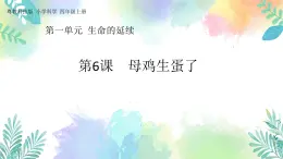 四年级上册科学课件-1.6《母鸡生蛋了》｜粤教版(共46张PPT)