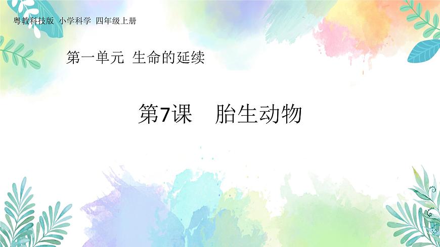 四年級(jí)上冊(cè)科學(xué)課件-1.7《胎生動(dòng)物》｜粵教版   共24張第1頁(yè)