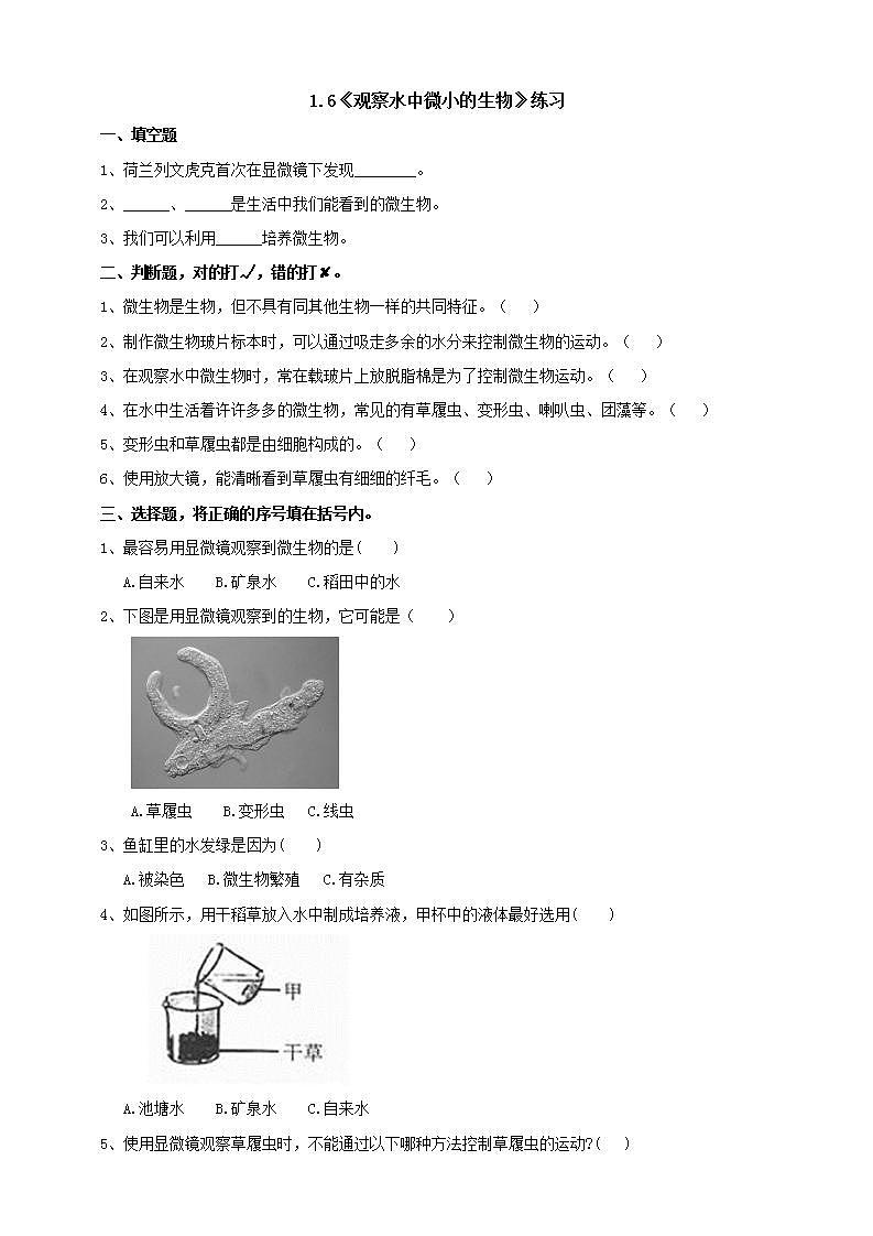 教科版六上科学  1.6《观察水中微小的生物》课件+教案+练习+素材01