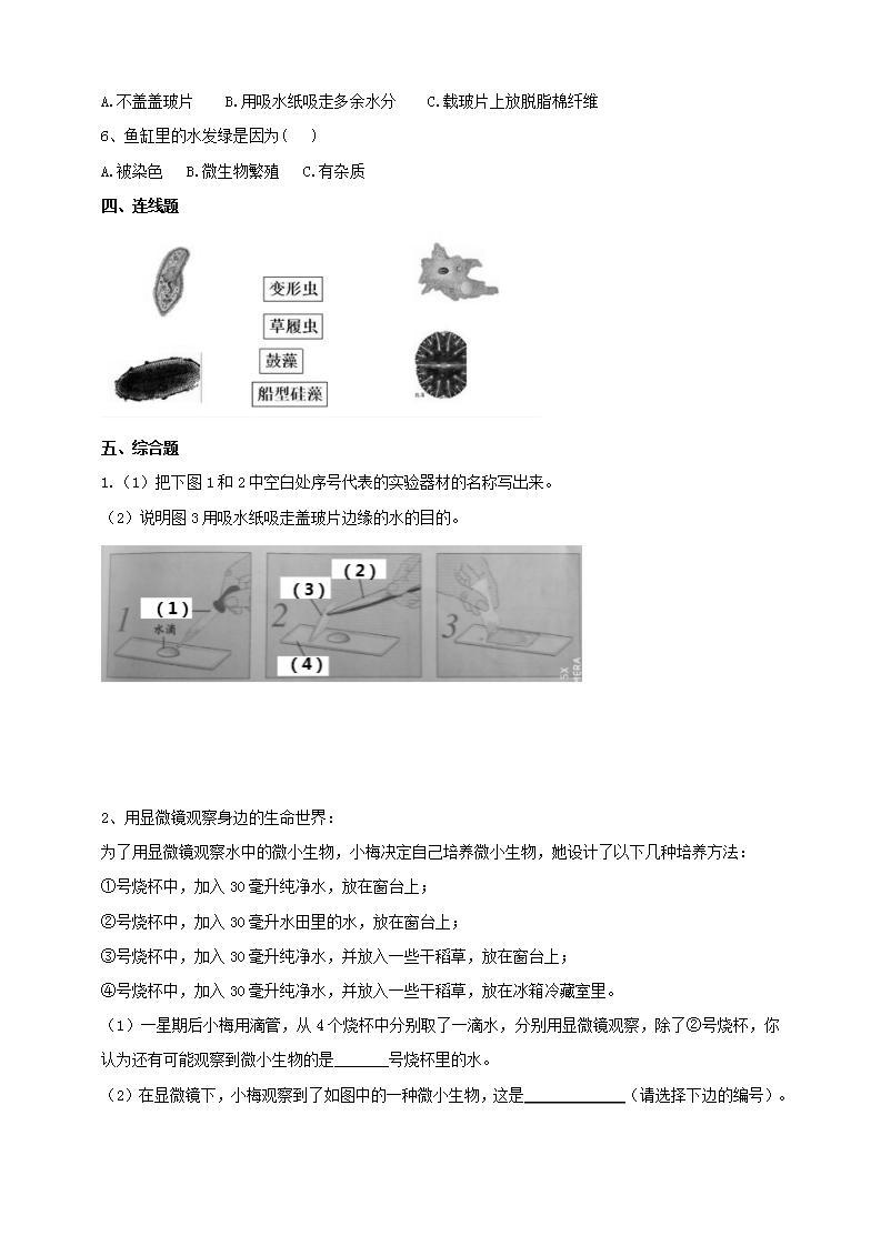 教科版六上科学  1.6《观察水中微小的生物》课件+教案+练习+素材02