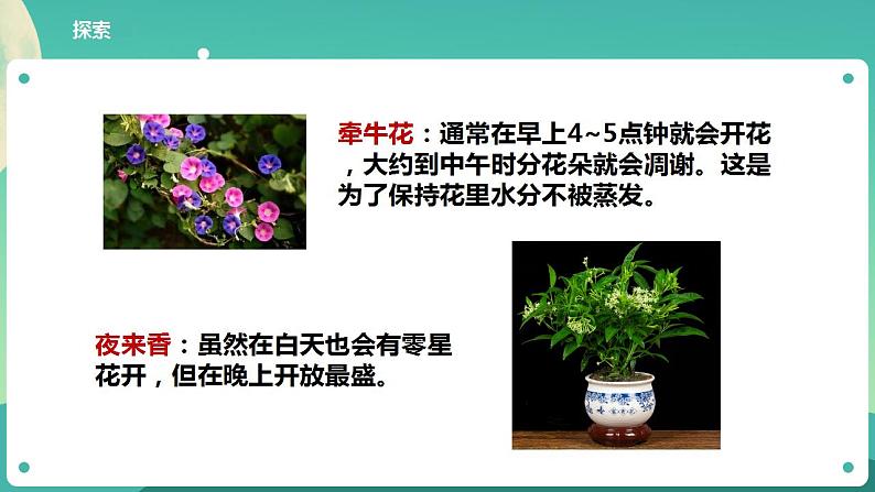 教科版六上科学 2.7《昼夜和四季变化对生物的影响》课件+教案+练习+素材08