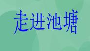 湘教版六年级上册3 走进池塘完美版ppt课件