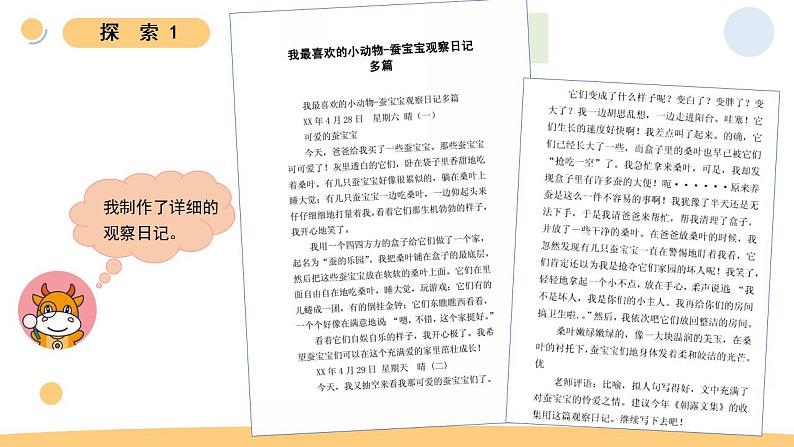 小学科学 教科版 三年级下册《蚕的一生》教学 课件05