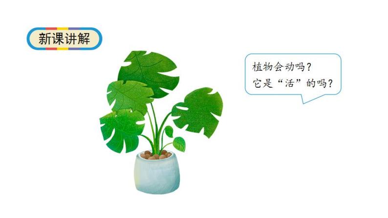 1.5《植物是“活”的吗》科学一年级上册-教科版课件03