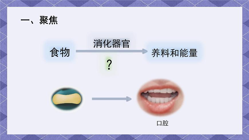 2.7《食物在口腔里的變化》 課件第5頁
