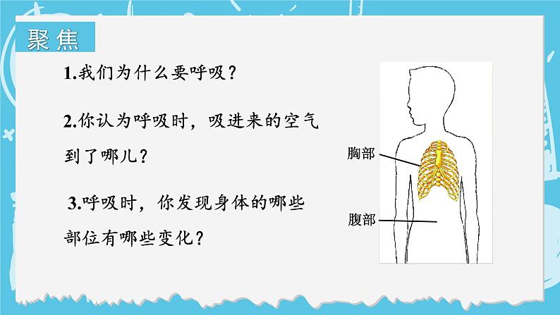 四年级上册科学-2.1 感受我们的呼吸 课件+素材 教科版04
