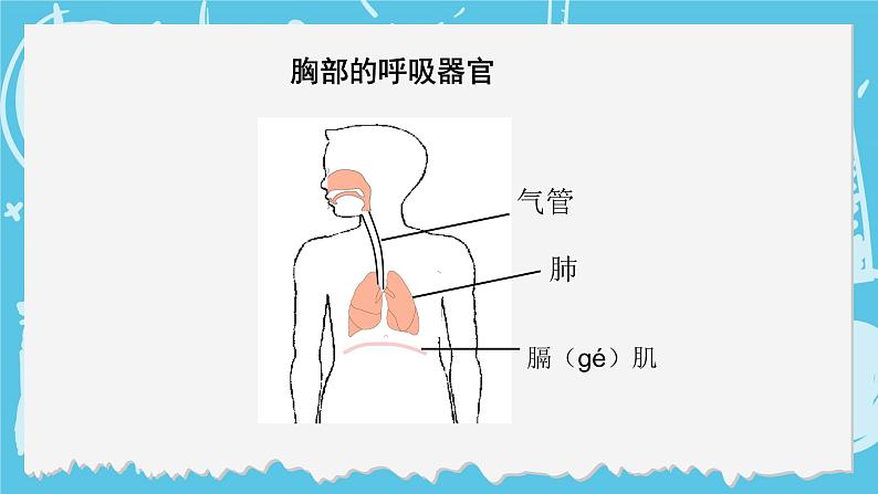 四年级上册科学-2.1 感受我们的呼吸 课件+素材 教科版08