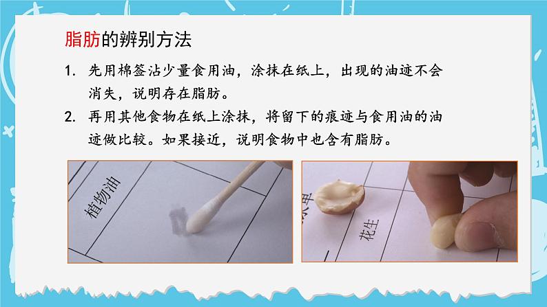 四年级上册科学-2.5 食物中的营养 课件+素材 教科版06