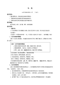 小学科学苏教版 (2017)四年级上册3 鸟类获奖教学设计