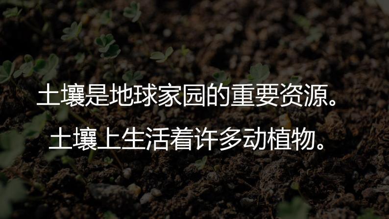 二年级上册科学第二节土壤——动植物的乐园课件＋教案01