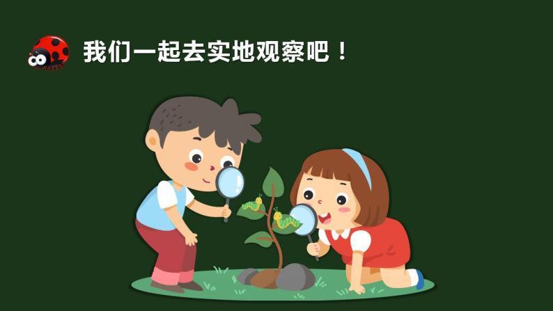 二年级上册科学第二节土壤——动植物的乐园课件＋教案04